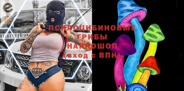 крисы Алзамай