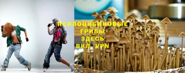 мескалин Приозерск