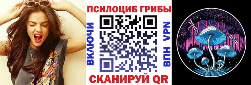 Псилоцибиновые грибы мухоморы  Бабаево 