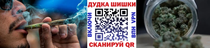 Бошки Шишки планчик  Бабаево 